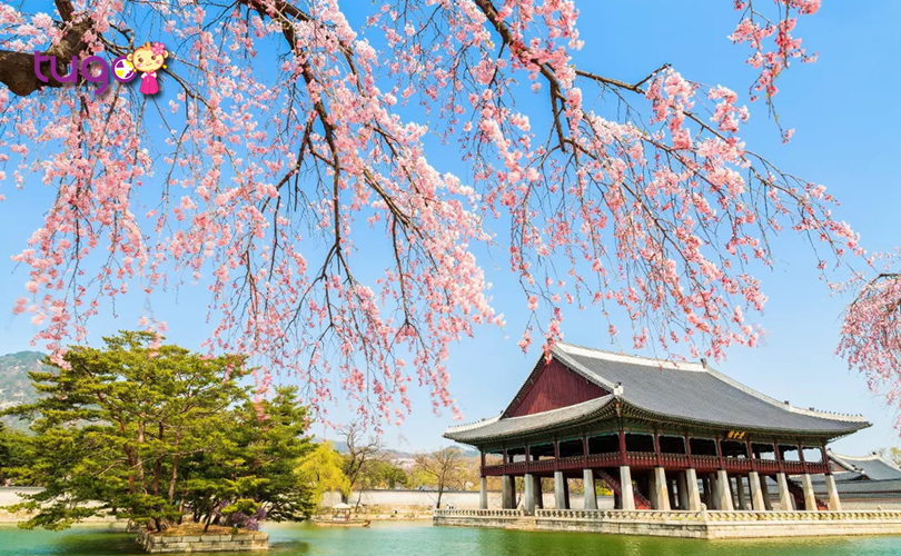 Thời tiết mùa xuân ở Hàn Quốc khá mát mẻ và rất lý tưởng cho các chuyến du lịch