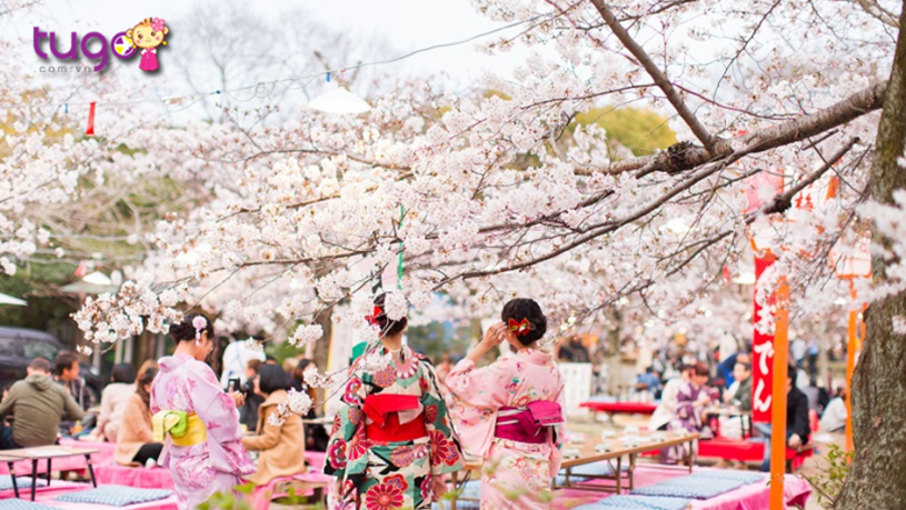 Tháng 3 là thời điểm lý tưởng nhất để thưởng hoa mùa xuân ở Nhật Bản