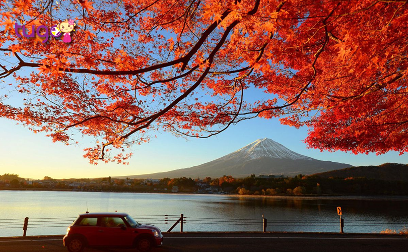 Thời tiết tháng 10 ở Nhật Bản khá ôn hòa, mát mẻ và rất thuận lợi cho các hoạt động du lịch