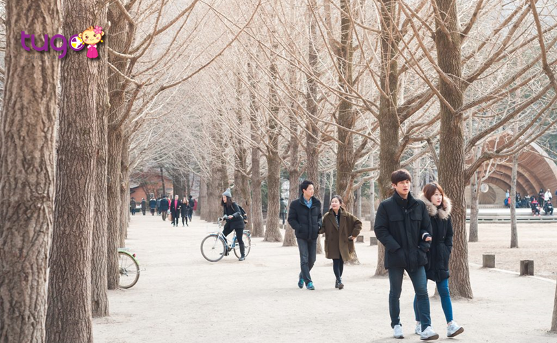 Thời tiết tháng 2 ở Hàn Quốc có phần ấm áp và thoải mái hơn cho các hoạt động du lịch