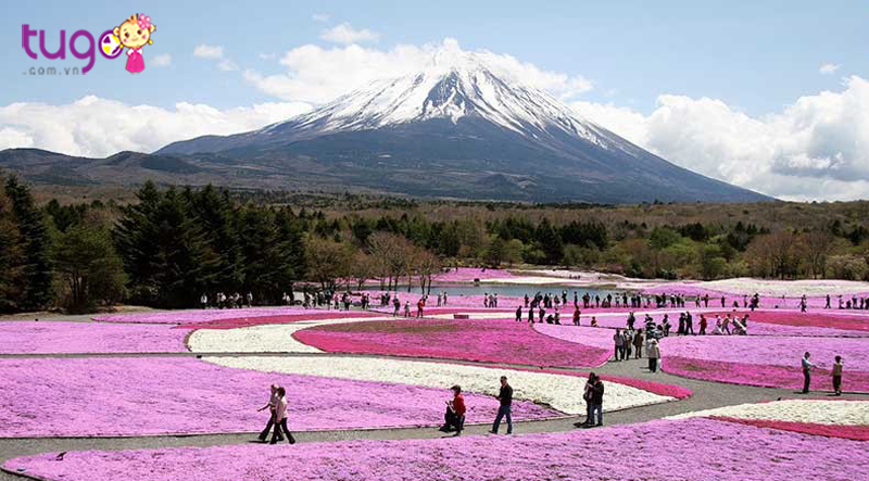 Du lịch Nhật Bản – thiên đường với những cảnh quan say đắm lòng người
