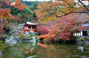 Chùa Daigoji – Kyoto