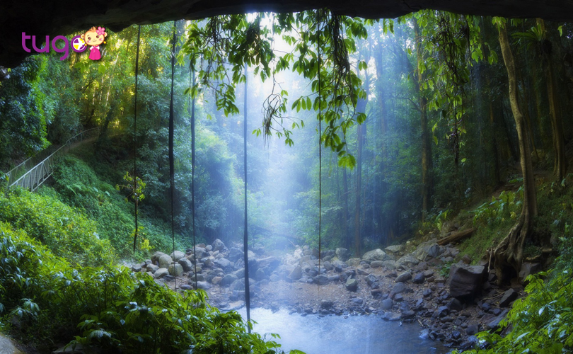 Vẻ đẹp hoang sơ, bình dị tại thác Pha Lê, Vườn quốc gia Dorrigo