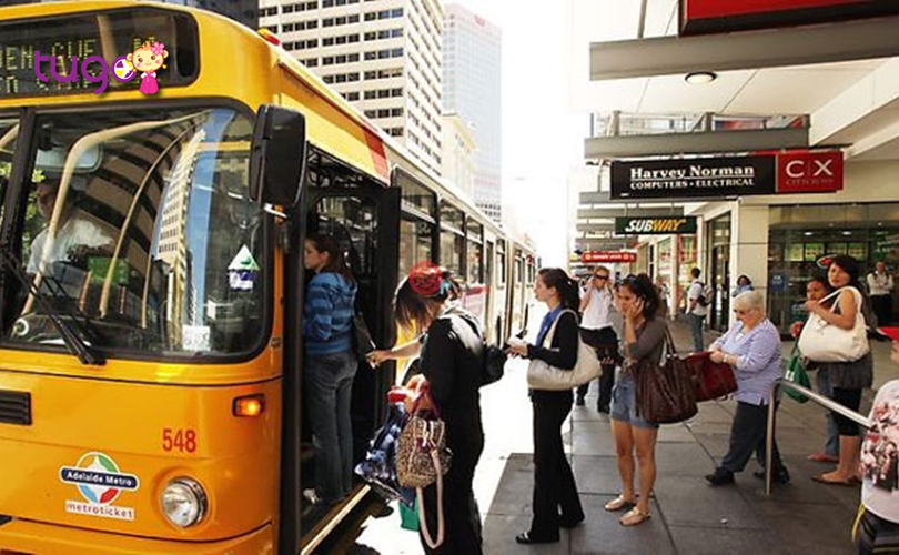 Xe buýt - Một trong những phương tiện di chuyển tiện lợi bậc nhất ở Úc hiện nay