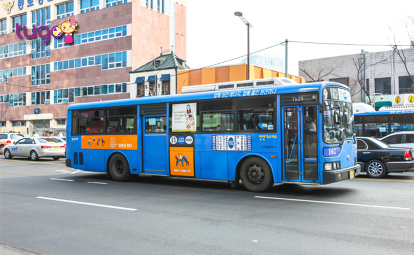 Xe buýt là một trong những phương tiện công cộng tiện lợi ở Hàn Quốc