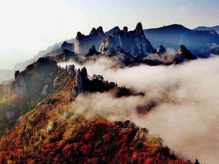Gợi Ý Top 25 Địa Điểm Đẹp Nhất Du Lịch Tại Hàn Quốc