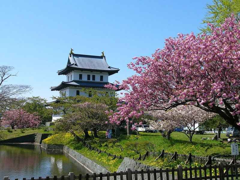 7 công viên ngắm hoa anh đào đẹp nhất Nhật Bản tugo.com.vn