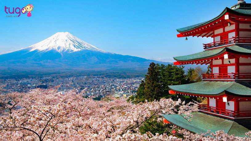 Những lưu ý phải ghi nhớ khi du lịch Nhật Bản