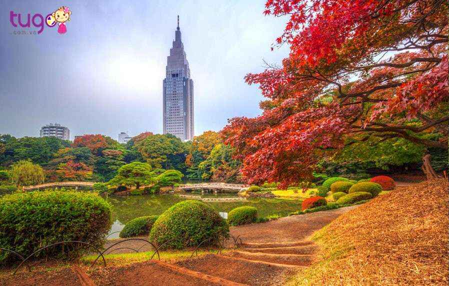 Top 10 địa điểm du lịch hè ở Nhật Bản đến rồi chẳng muốn quay về -  
