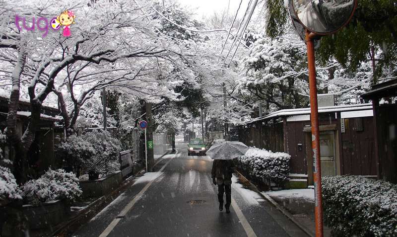 Thời tiết Nhật Bản thường mát và khô ráo vào tháng 12