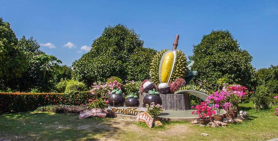Thái Lan là nơi sở hữu nhiều loại trái cây nhiệt đới thu hút giới trẻ
