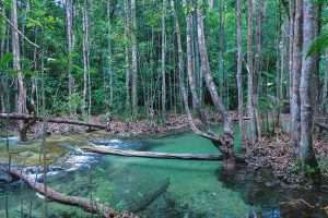Khlong Thom hoang sơ ẩn mình trong rừng sâu