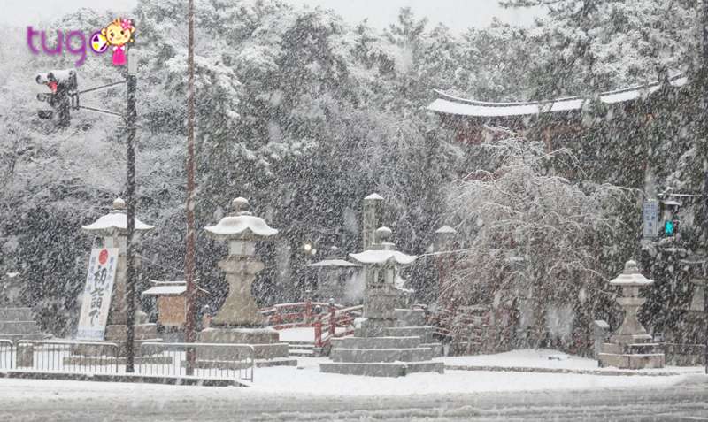 Tuyết rơi trước cửa một ngôi đền Thần đạo (Ishikawa)