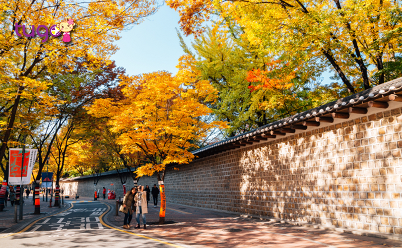 Đoạn đường tường đá Deoksugung còn là một địa điểm “check-in” cực “hot” ở Hàn Quốc hiện nay
