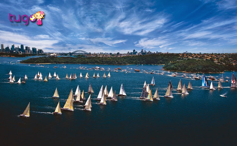 Đua thuyền buồm từ Sydney đến Hobart là một nét truyền thống độc đáo của mùa hè nước Úc