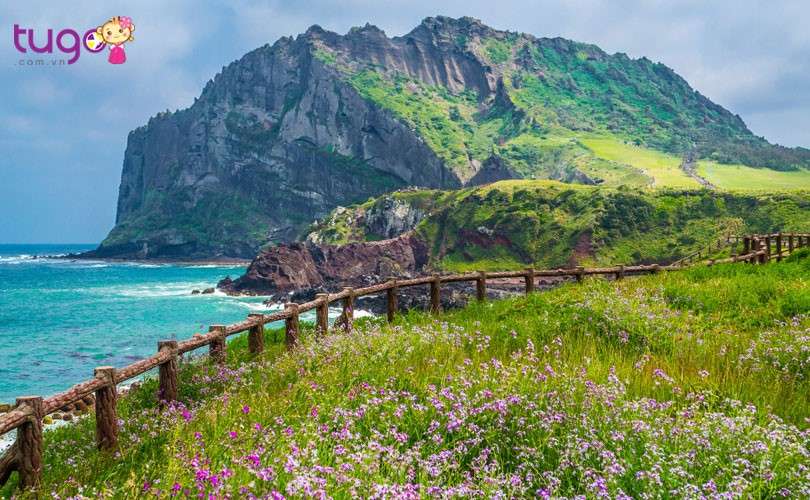 Đừng bỏ qua Jeju - một Hawaii thu nhỏ tại Hàn Quốc 