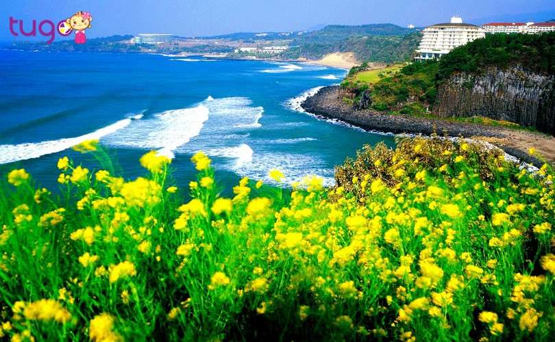 Đừng bỏ qua Jeju - một Hawaii thu nhỏ tại Hàn Quốc